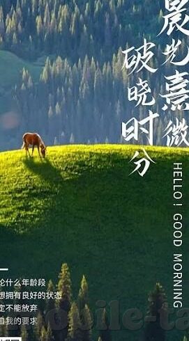 90电影伦理在线-90年代电影伦理的在线探讨，重塑公共道德的数字时代