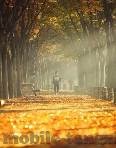 成人视频聊天-成人视频聊天的社会现象与影响