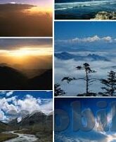 成人糖心vlog下载-成人世界的秘密花园，探秘糖心Vlog的精彩下载之旅