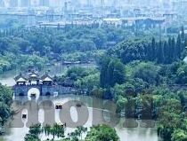 国产91精品一区二区麻豆网站-国产91精品一区二区麻豆网站，网络文化现象的多元视角分析