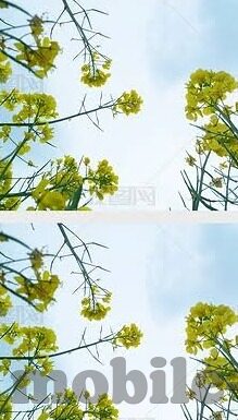 九一制片厂果冻传媒免费入口-探索网络文化新边疆，九一制片厂与果冻传媒的免费内容入口