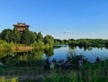 麻豆91av在线观看-麻豆91，熟透诱惑背后的故事