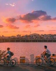 麻豆cm传媒视频在线-麻豆CM传媒，网络视频艺术的创新与挑战