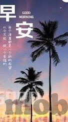 糖心vlog免费版app下-探索生活多彩瞬间，糖心VlogApp的免费之旅